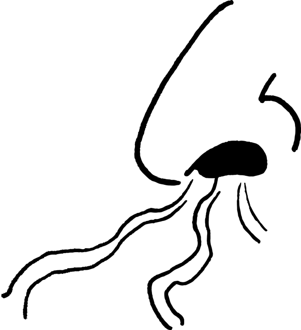 Self Fumigation thumbnail