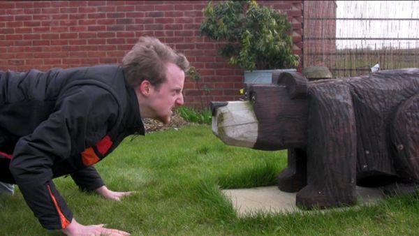 Stare Bear thumbnail